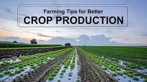 Connecting with farmers