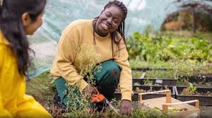 Agriculture, Trade & Regulatory Standards