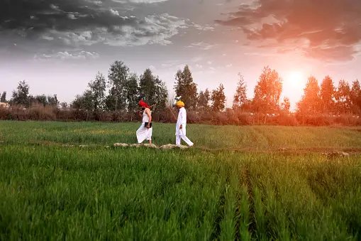 Revolutionizing Agricultural Support
