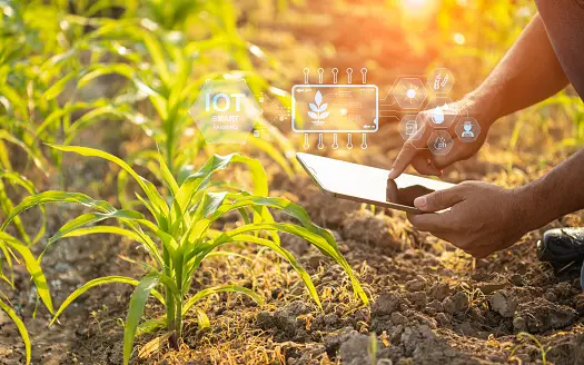 Creating Farms